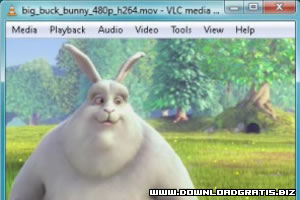 Screenshot do VLC Media Player Portable 2.0.2