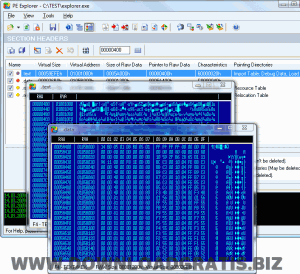 PE Explorer Section Viewer