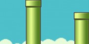 FlappyBird-www.downloadgratis.biz-5