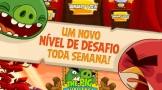 AngryBirdsSeasons-03