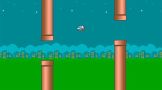 FlappyBirdNew-www.downloadgratis.biz-1