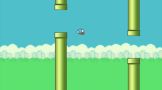 FlappyBirdNew-www.downloadgratis.biz-2