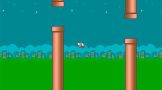 FlappyBirdNew-www.downloadgratis.biz-3